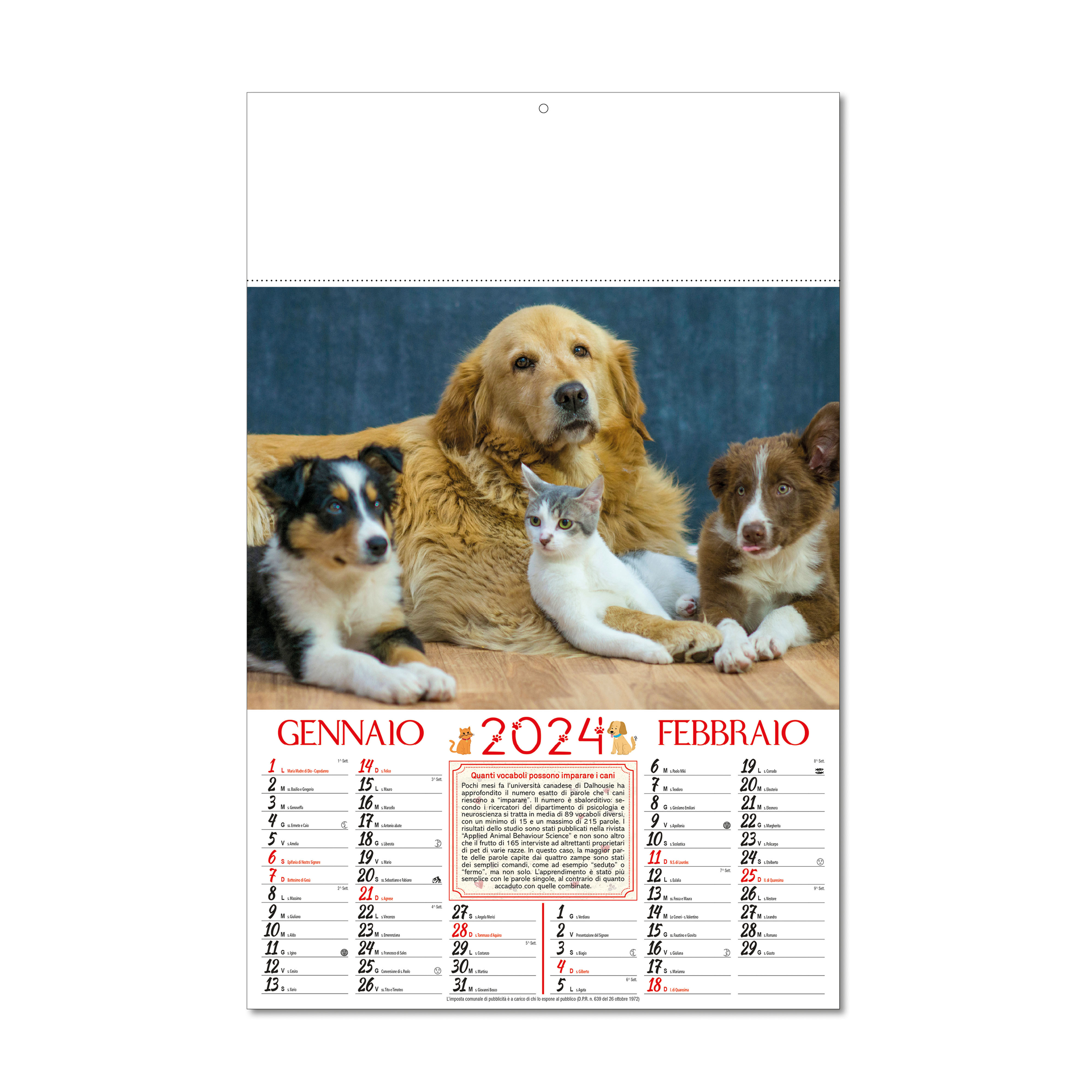 Calendario 2024 da muro mensile, illustrato a 6 foglisu carta patinata,  termosaldato - Calendari - Notes Stampati