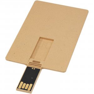 USB carta di credito con scocca biodegradabile
