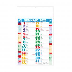Calendario 2025 da muro mensile color bilaterale, 12 fogli su carta patinata, termosaldato